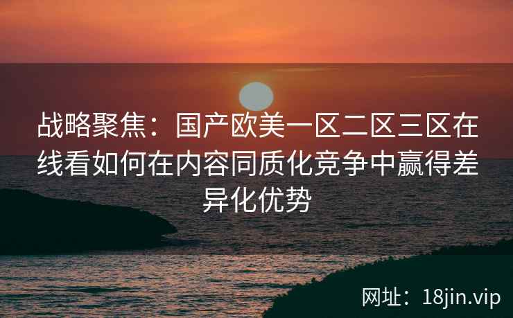 战略聚焦：国产欧美一区二区三区在线看如何在内容同质化竞争中赢得差异化优势